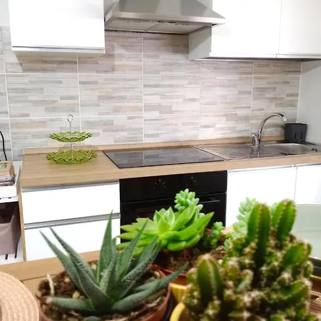 Rosy 세라발레스크리비아