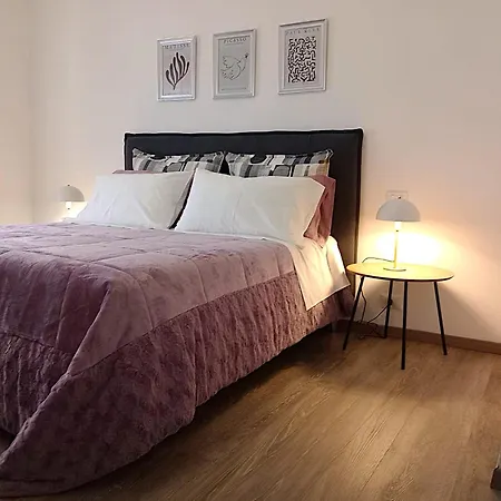 Rosy 세라발레스크리비아